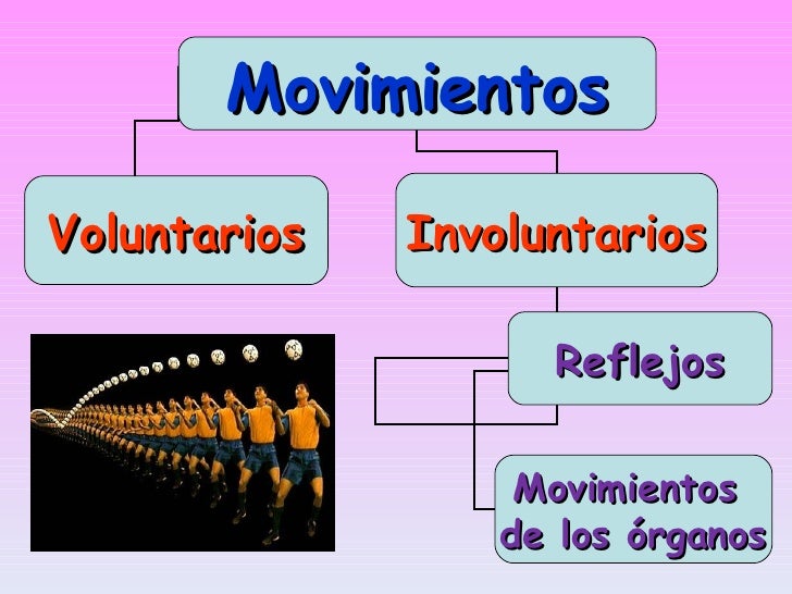 Función de Relación