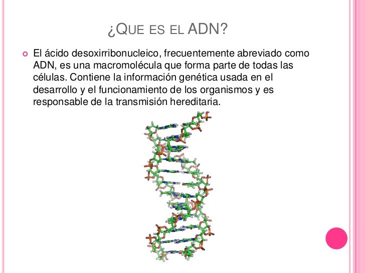 Tema35 replicacion del adn Tema35 replicacion del adn