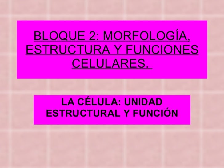 Ejemplos+De+Celulas+Procariotas Página principal Liderazgo Tecnología Educación Comercialización ...