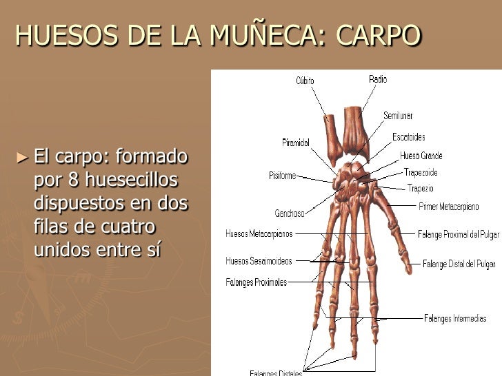Tema 4 (parte iii)