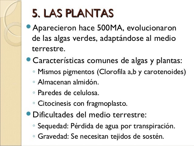 Los tratamientos del hongo de la uña por el láser