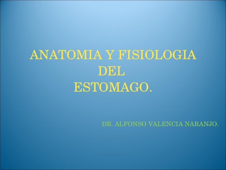 FISIOLOGIA ANATOMIA ESTOMAGO fisiologia anatomia estomago:
