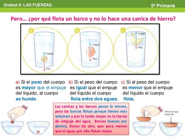 Tema 6 las fuerzas s