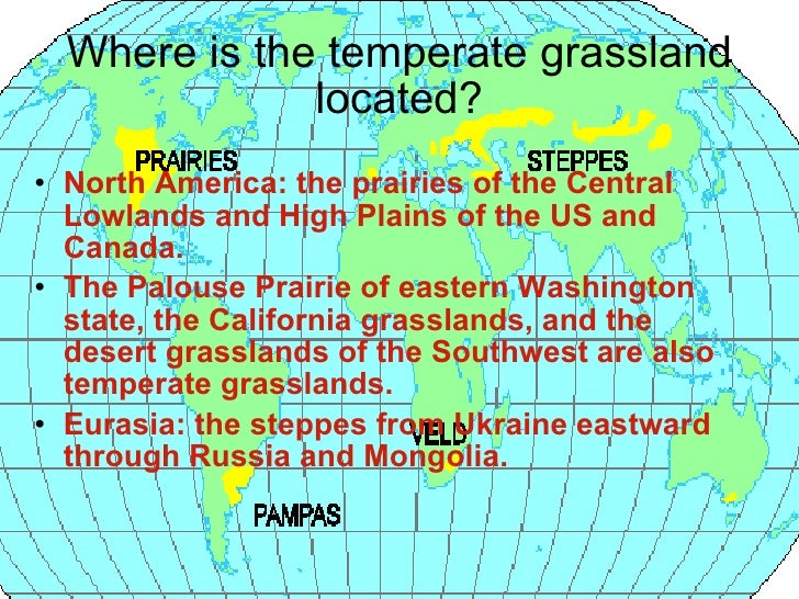 Grassland features