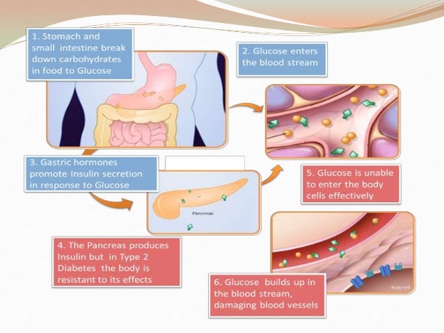 homeostatic imbalances gout Best answer: diseases that result from a homeostatic imbalance include diabetes,dehydration, hypoglycemia, hyperglycemia,gout, and any disease caused by. homeostatic imbalances gout Best answer: diseases that result from a homeostatic imbalance include diabetes,dehydration, hypoglycemia, hyperglycemia,gout, and any disease caused by.