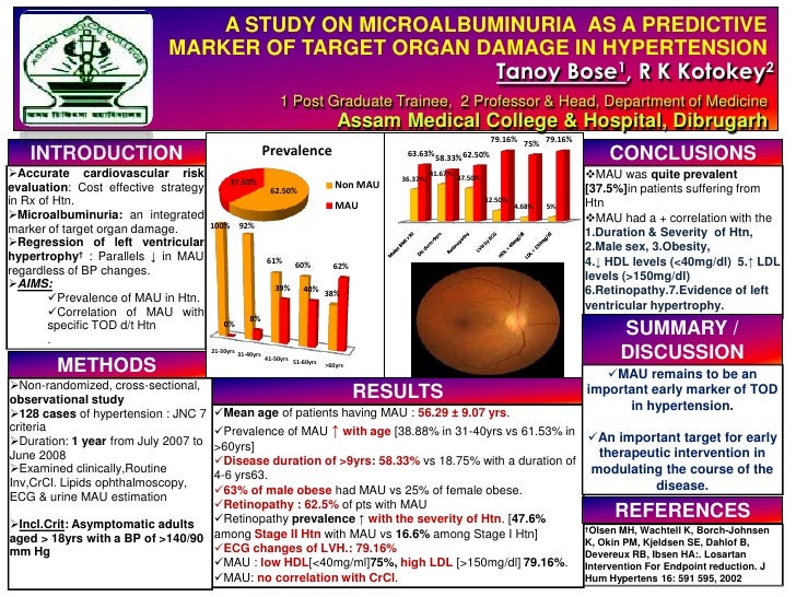 Template For Poster Presentation (Tysa)