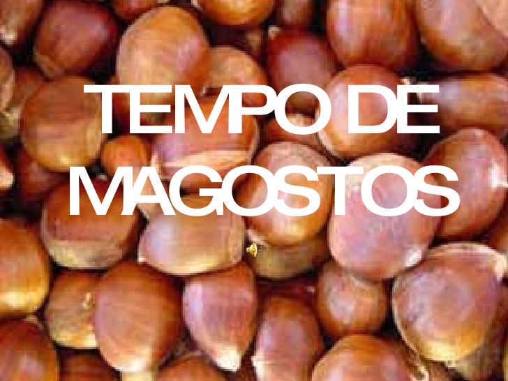 TEMPO DE MAGOSTOS
