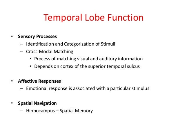 cross modal perception definition cross modal perception definition