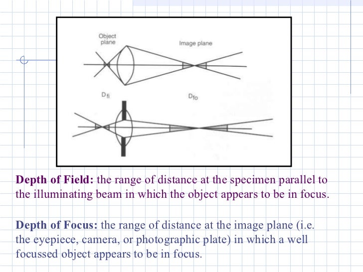 Transmission Electron Microscope
