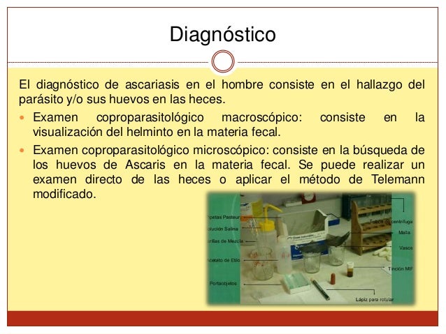 El ajenjo amargo como aceptar a los parásitos