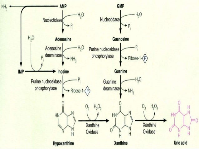 Colchicine-Probenecid Colchicine-Probenecid