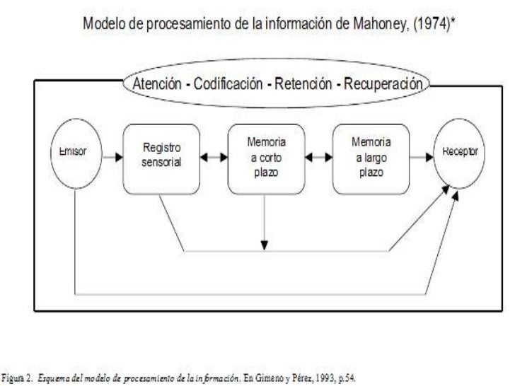 Teoría del procesamiento de la información