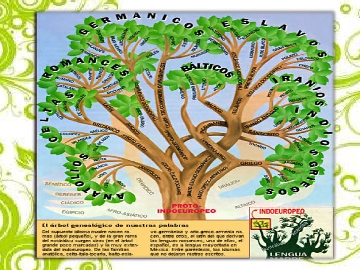 Bagatela: Arbol Genealogico de las lenguas Indoeuropeas