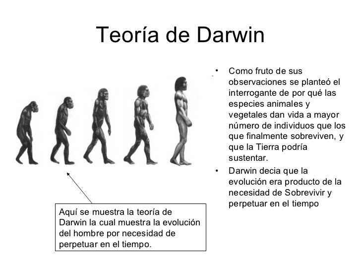 Teorías de la evolución