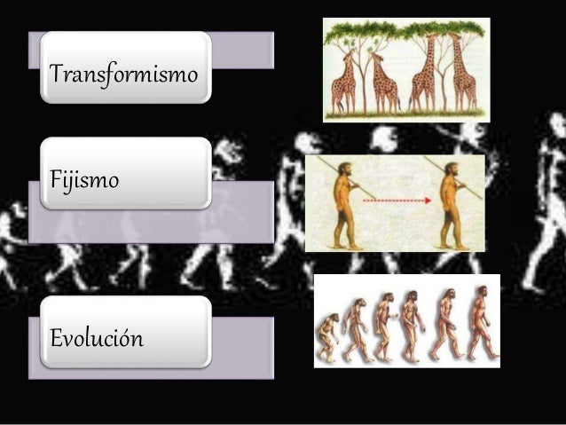 Teorías de la evolución