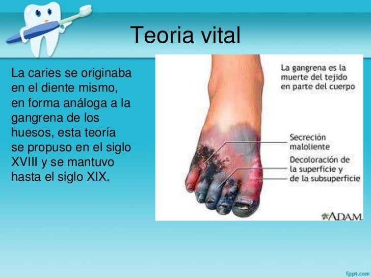 La análisis de sangre ifa a todos los helmintos