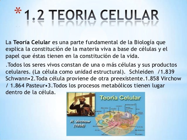 Conclusion de la teoria celular_teoria_online