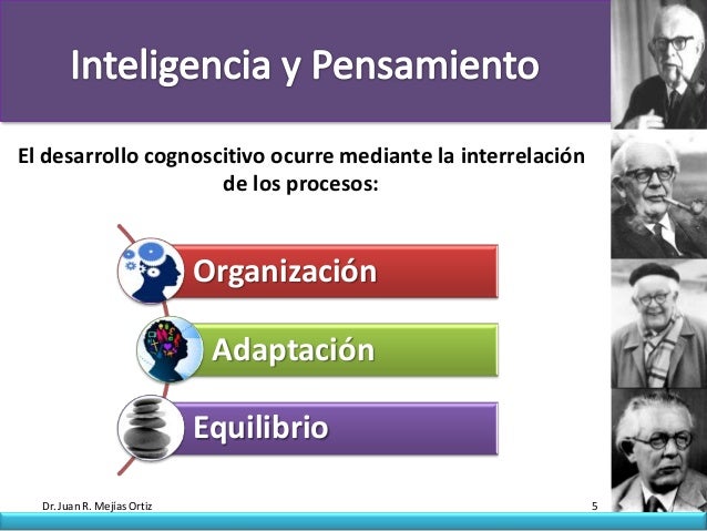 El desarrollo cognoscitivo ocurre mediante la interrelación                     de los procesos:                          ...