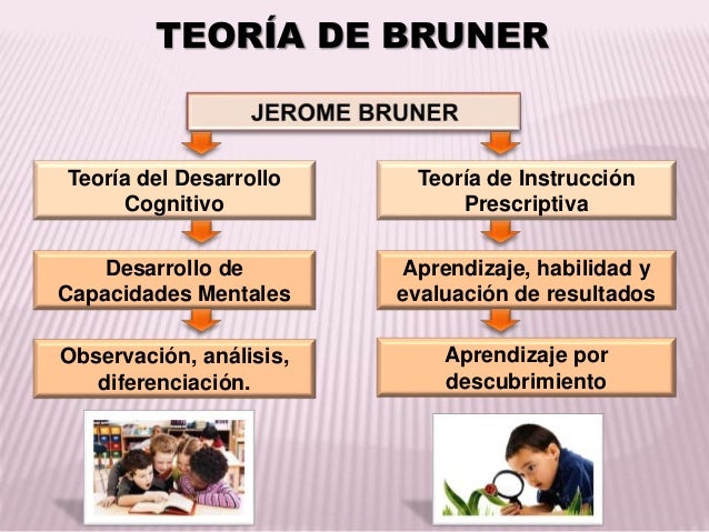 Ventajas Y Desventajas De La Teoria De Bruner www.slideshare.net