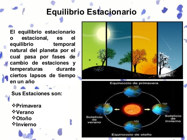 Teoria del equilibrio estacionario