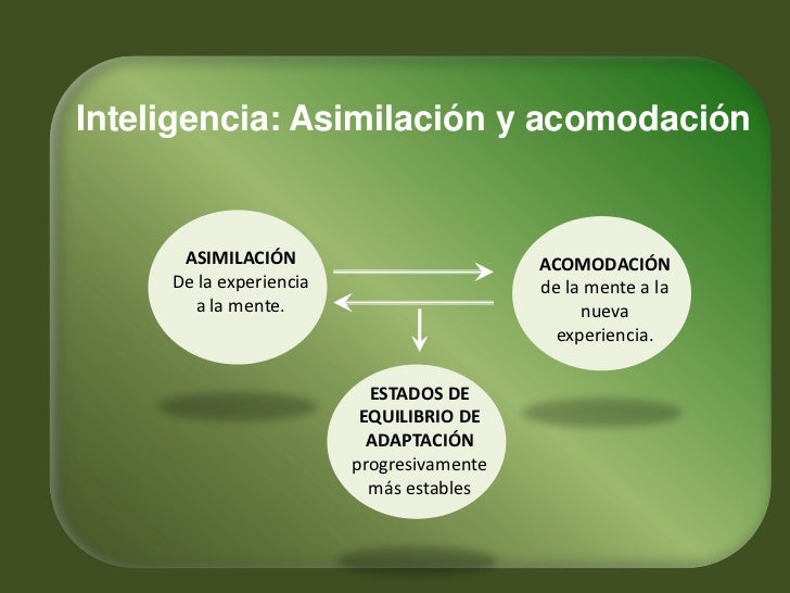 Teoria de piaget