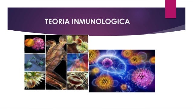 Teoria inmunologica del envejecimiento_teoria_online