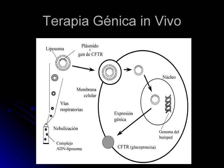 Terapia Genica Terapia Genica
