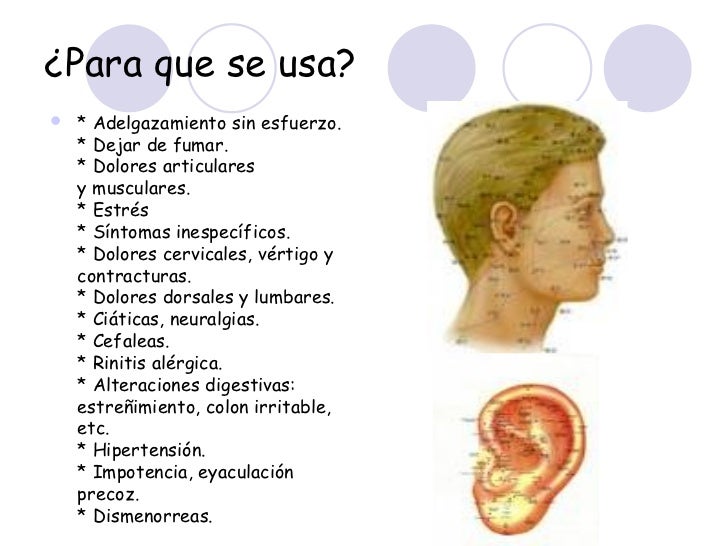 El entrenamiento de la casa para la quema rápida de la grasa