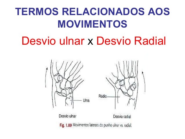 Terminologia Anatomica terminologia-anatomica