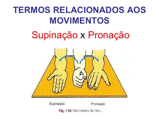 Terminologia Anatomica terminologia-anatomica