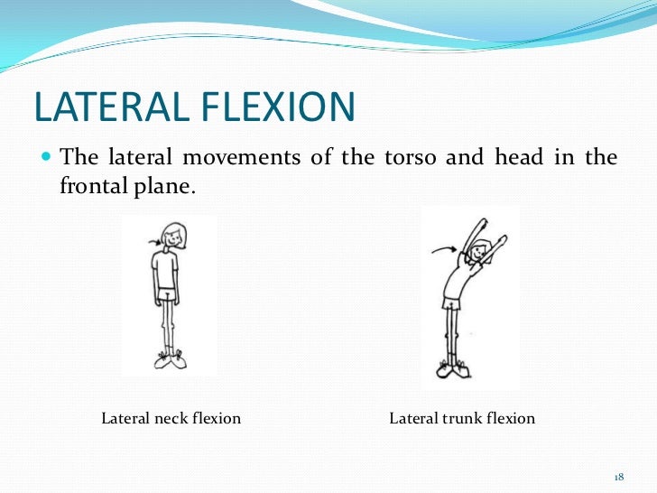 Terminology of joint movement