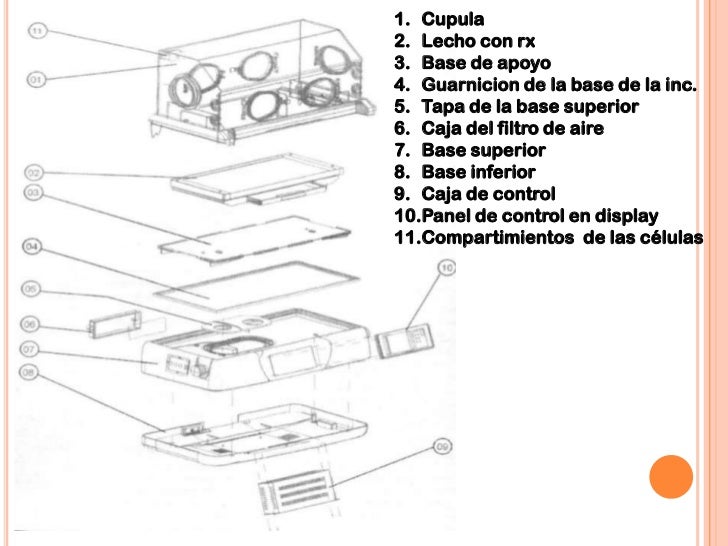 Tomado de Furzan, J. Texto practico de neonatología (2004) Editorial Miranda p.64