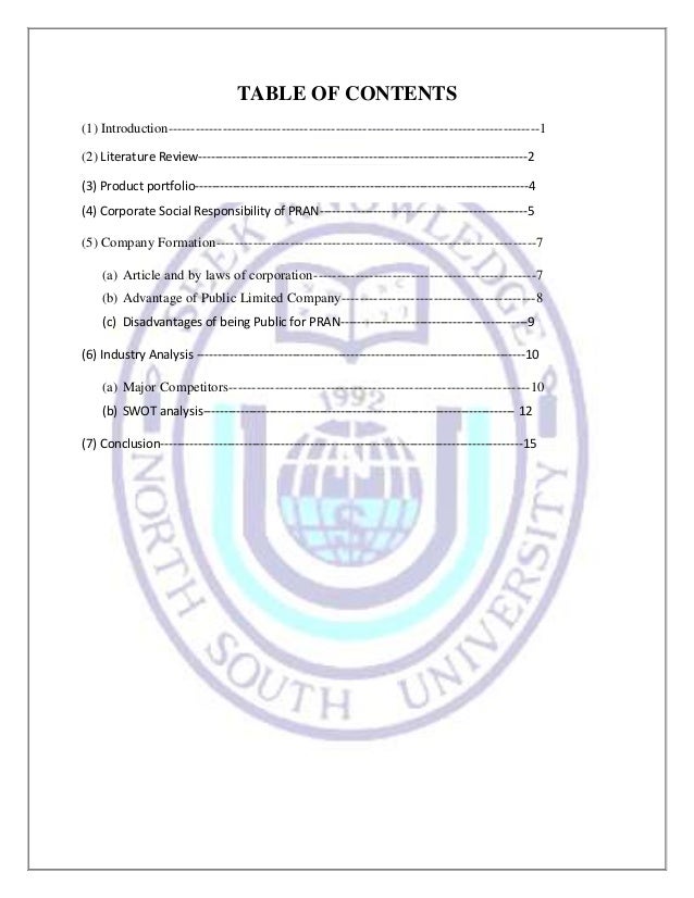 Master Thesis Corporate Social Responsibility