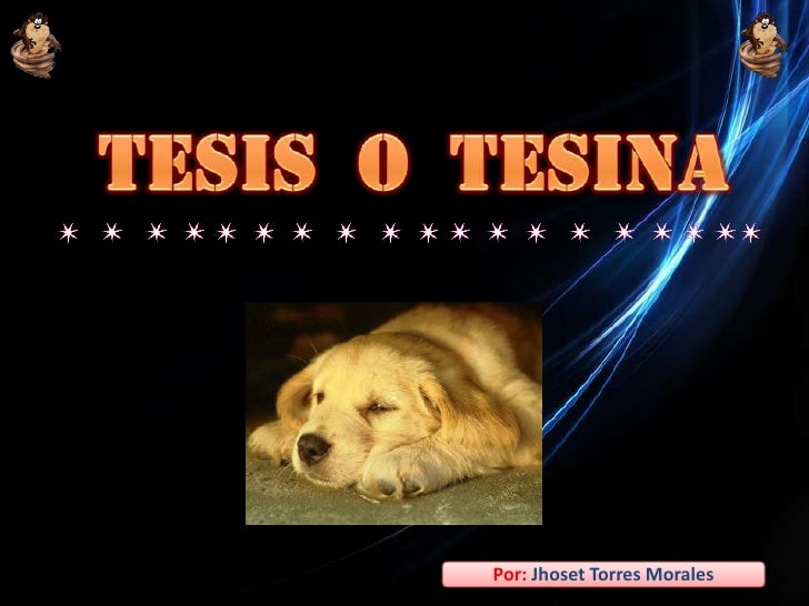 TESINA TESIS tesina tesis: