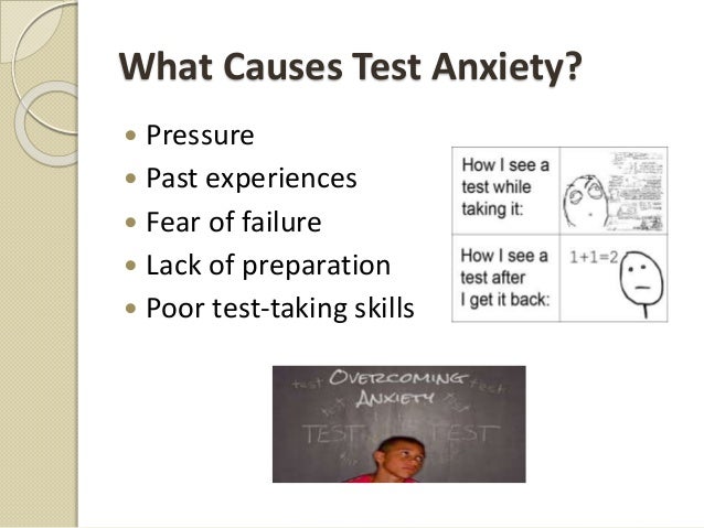 Global village essay