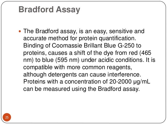 Thesis protein quantification image