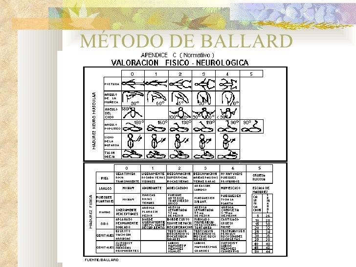 Metodo De Ballard Para Valoracion Fisico Neurologica