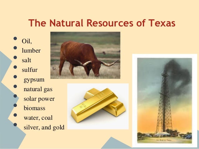 Major Natural Resources For Texas 100