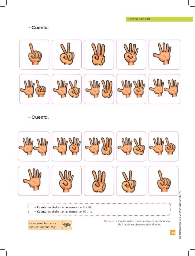 101
DISTRIBUCIÓNGRATUITA-PROHIBIDALAVENTA
• Cuenta.
• Cuenta.
• Cuenta los dedos de las manos de 1 a 10.
• Cuenta los dedo...