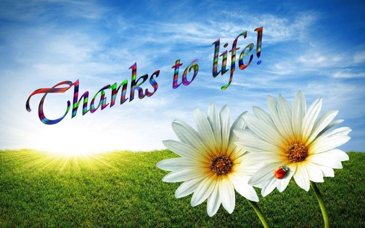 http://image.slidesharecdn.com/thankstolife-120627003533-phpapp01/95/thanks-to-life-1-728.jpg?cb=1340757493