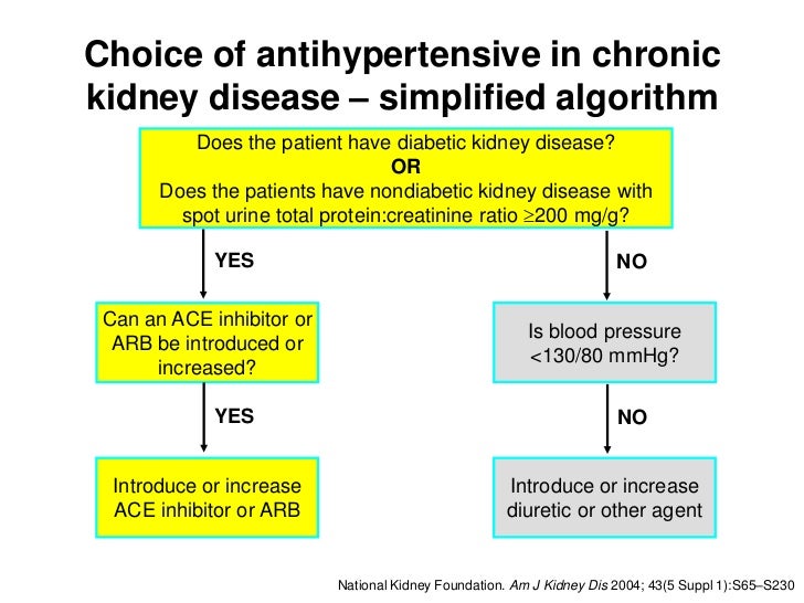 CKD Prevention ckd-prevention