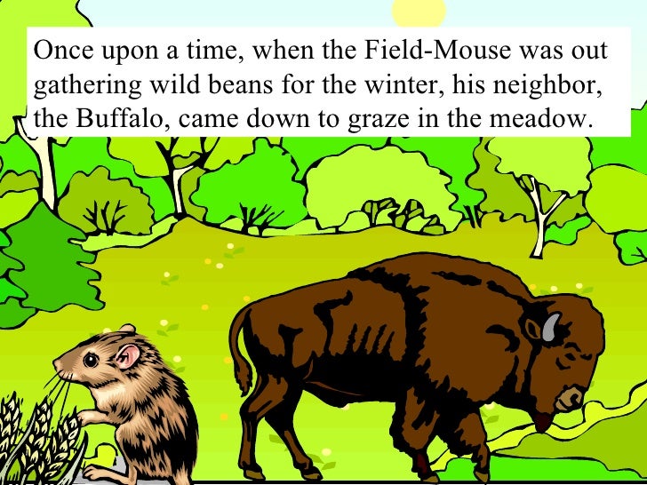 The Buffalo and the Field Mouse