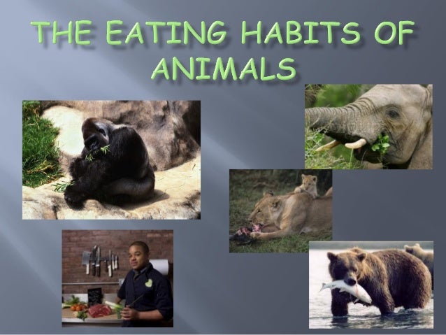 Copy Of Eating Habits Of Animals - Lessons - Blendspace
