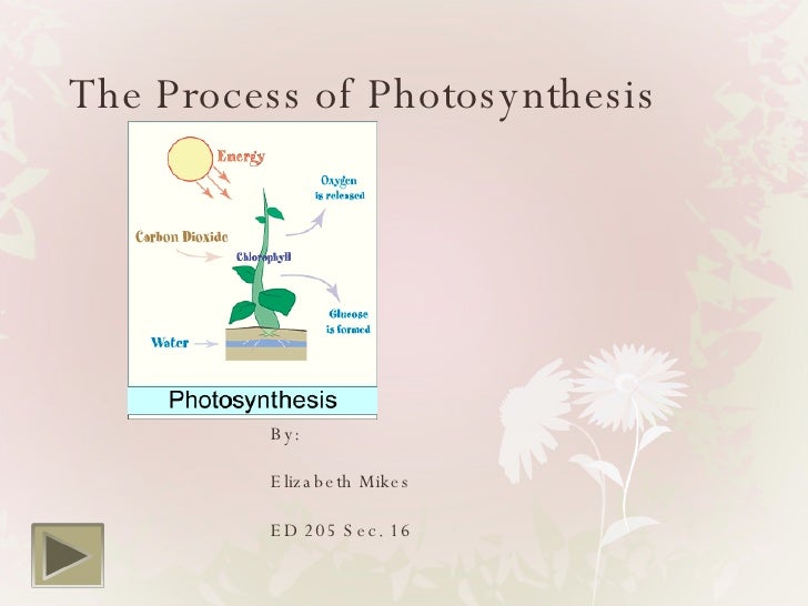 difference between chemosynthesis difference between chemosynthesis