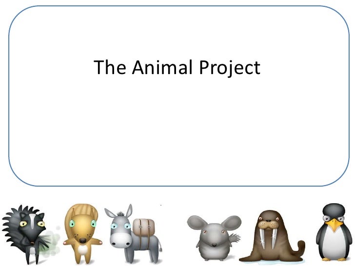 animal the project