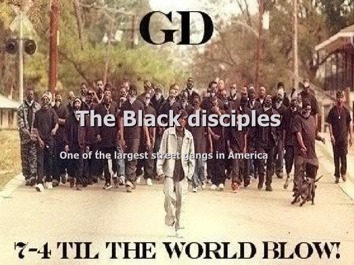 The Black Disciples