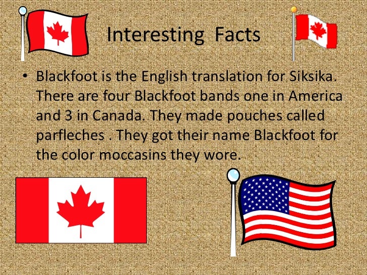 The Blackfoot Tribe