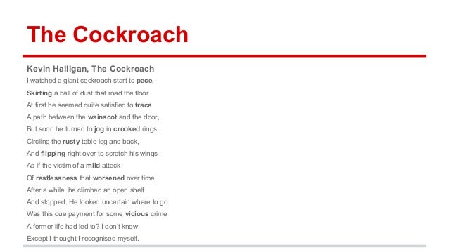the cockroach kevin halligan Unit ii 8 cockroach - kevin halligan kelvin halligan is a canadian poet he was born in 1964 in canada but spent most of his time in the england. the cockroach kevin halligan Unit ii 8 cockroach - kevin halligan kelvin halligan is a canadian poet he was born in 1964 in canada but spent most of his time in the england.