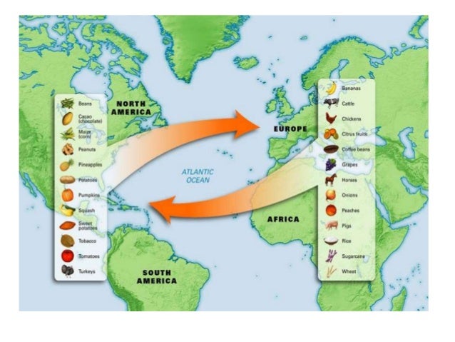 What goods were exchanged in the triangular trade system