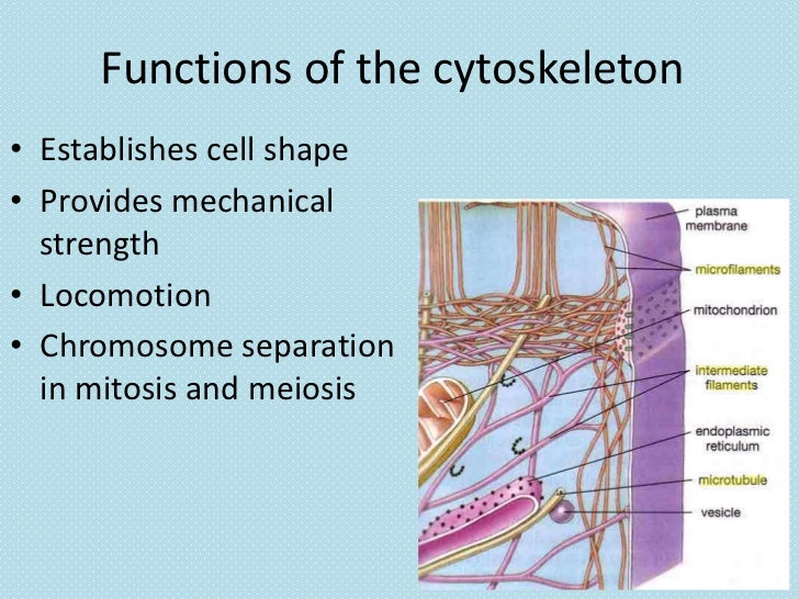 ebook rubber as a construction material for corrosion